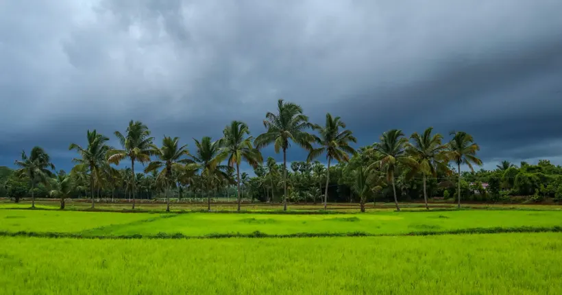 The Osprey Luxury Cruises - Places to Visit Alleppey